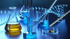 心理健康评估与辅导